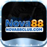 Avatar de perfil de nova88clubcom