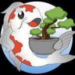 Publicación de Google Bonsai Koin (BOKO)