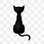 Avatar de perfil de endriu