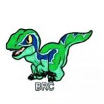 Avatar del token de Babyraptorcoin