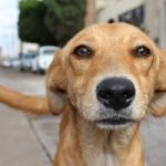 Publicación de Coinmarketcap Listed