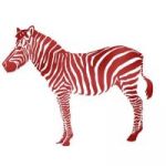 Publicación de Redzebra launching soon