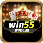 Avatar de perfil de win55ad