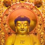 Avatar del token de BuDDakan