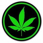 Avatar de perfil de GRNY