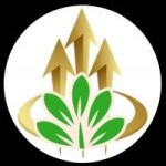 Avatar del token de BABANGYARA