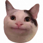 Avatar del token de sharestonkenz