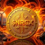 Avatar del token de NRGX