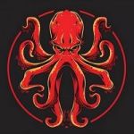 Avatar du jeton de BNB Kraken