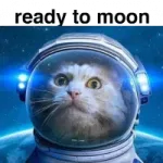 Publication de Fundraising for Token Namaste listing