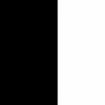 Avatar du jeton de webchain name
