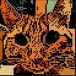 Avatar du jeton de Lister Cat Robin