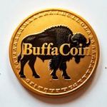 Publication de why hold a buffacoin ?