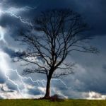 Avatar du jeton de Storm