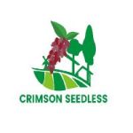 Avatar de profil de qijicrimsonseedless
