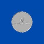 Publication de Our EMILIE TREASURY COMPANY STRATEGY explained