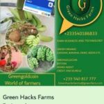 Publication de Greengold campaign