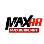 Avatar de profil de max88vnnet