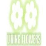 Avatar de profil de livingflowers