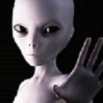 xkalibur profile avatar