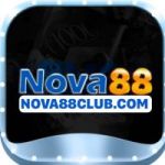 nova88clubcom profile avatar