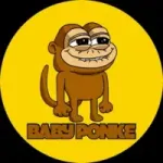 BabyPonke token avatar