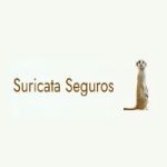 Avatar de profil de suricataseguros