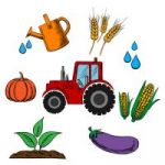 AGRICULTURE token avatar
