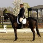 Avatar de profil de stevemilneequestrian