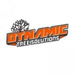 Dynamictreesolutions profile avatar