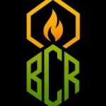 BITCORN token avatar