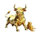 Buller token avatar