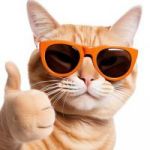 User491556550 profile avatar
