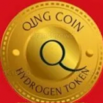 QingCoinMMT token avatar