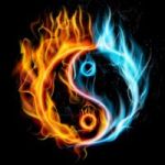 PYXA profile avatar