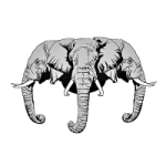 FiiLtoken token avatar