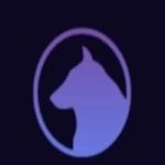 Roxie Coin NFT post