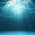 OCEAN token avatar