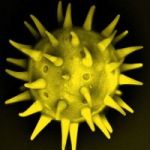 TheActiveHive profile avatar