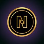 NGIN token avatar