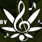 CannaMusic profile avatar
