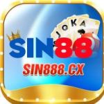 sin888cx profile avatar