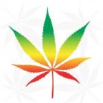 Cannatoken token avatar