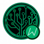 Wrapped EverGreenCoin on MintMe.com post