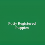 Avatar de perfil de pottyregisteredpuppies