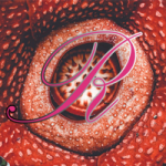 RAFFLESIA token avatar
