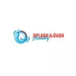 SplashNdashLaundry profile avatar