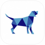 GoWalkies Token (GWT): Empowering Dog Owners & Fostering Community Engagement post