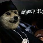 Snoop Dogecoin token avatar