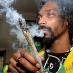 🌞💨 New drop "Wake & Bake" 🔥 post